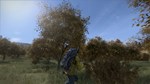⭐️DayZ / Steam Key / РФ+МИР - изображение № 4