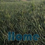 ⭐️Home / Steam Key / РФ+МИР