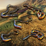 Copper Canyon Open World