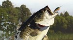 Lake Okeechobee Pack - изображение № 3