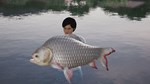 Fishing Sim World Pro Tour  Giant Carp Pack - изображение № 5