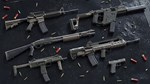 Insurgency Sandstorm  TwoTone Weapon Skin Set - изображение № 5
