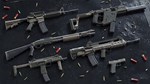 Insurgency Sandstorm  TwoTone Weapon Skin Set - изображение № 3