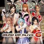 Revival DOA6 Sexy Bunny Costume Set - изображение № 4