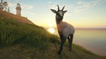 theHunter Call of the Wild  Te Awaroa National Park - изображение № 4