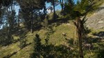 theHunter Call of the Wild Te Awaroa National Park