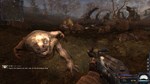 STALKER Clear Sky - изображение № 5