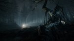 Blair Witch - изображение № 2