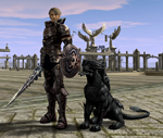 Dark Avenger 61 lvl