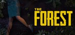 The Forest - STEAM GIFT RU/KZ/UA/BY