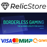 Borderless Gaming - STEAM GIFT РОССИЯ