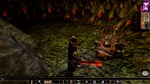 Neverwinter Nights - STEAM GIFT РОССИЯ - изображение № 9