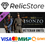 Isonzo Veterans DLC - STEAM GIFT РОССИЯ