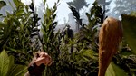 Bandit Simulator - STEAM GIFT РОССИЯ - изображение № 3