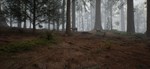 Native Hunter - STEAM GIFT РОССИЯ - изображение № 8
