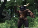 The Elder Scrolls IV: Oblivion GOTY Deluxe - STEAM GIFT - изображение № 8