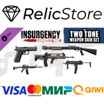 Insurgency: Sandstorm - Two-Tone Weapon Skin Set DLC