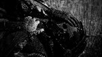 The Last Explorer - STEAM GIFT РОССИЯ - изображение № 5