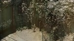 Rauniot - STEAM GIFT РОССИЯ - изображение № 5