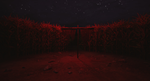 Corn Field - STEAM GIFT РОССИЯ - изображение № 5