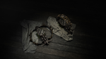 Hunt: Showdown 1896 - Taker of Trophies DLC - STEAM RU - изображение № 5