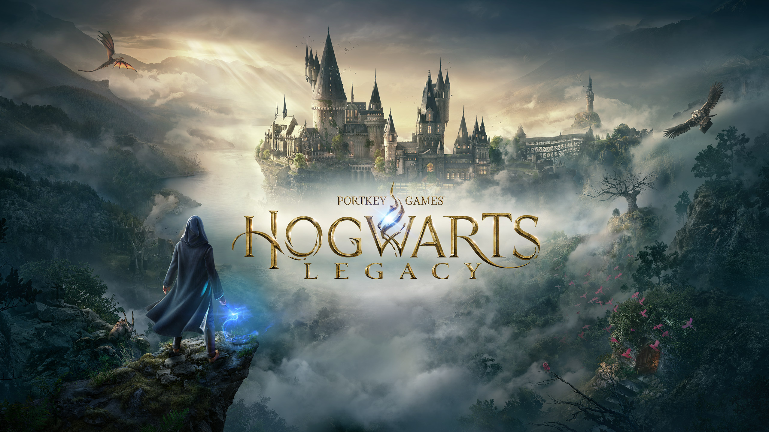 Hogwarts legacy купить xbox series фото 104