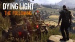 ????‍️ Dying Light: The Following  Steam DLC