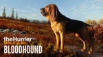  theHunter: Call of the Wild - Bloodhound  Steam