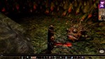  Neverwinter Nights: Complete Adventures  Steam - изображение № 2