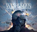  Project Wingman  Steam Ключ Не для всех стран - изображение № 3