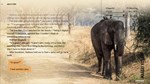 Wanderlust Travel Stories  GOG Ключ  Весь мир - изображение № 2