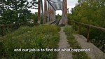  The USB Stick Found in the Grass  Steam Ключ