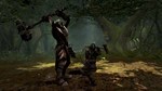  Lord of the Rings: War in the North  Steam Ключ - изображение № 2
