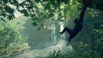 Ancestors The Humankind Odyssey ️Steam КлючЕвропа
