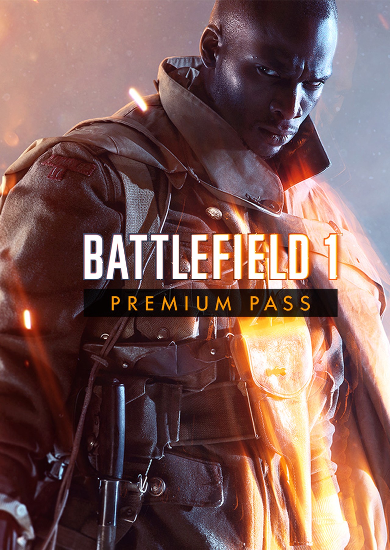 BATTLEFIELD 1 PREMIUM PASS ⭐️✅ EA app ✅Полный доступ