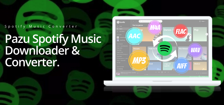 Pazu Spotify Music Converter ЛИЦЕНЗИЯ на 1 ГОД КЛЮЧ +🎁