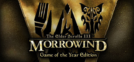 The Elder Scrolls 3 III Morrowind GOTY GOG АККАУНТ + 🎁