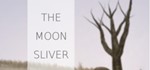 The Moon Sliver STEAM KEY REGION FREE GLOBAL ROW + 
