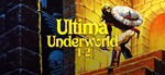 Ultima Underworld 1+2 GOG.COM KEY REGION FREE GLOBAL