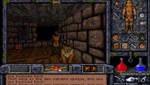 Ultima Underworld 1+2 GOG.COM KEY REGION FREE GLOBAL  - изображение № 3
