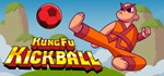 KungFu Kickball STEAM KEY REGION FREE GLOBAL ROW + 