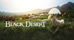  Black Desert Online Kuku Pet GLOBAL KEY