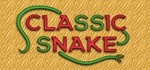 Classic Snake STEAM KEY REGION FREE GLOBAL ROW + 