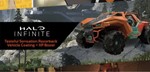 Halo Infinite - Tasteful Sensation Vehicle Coating +