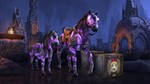  The Elder Scrolls Online Noweyr Pack Xbox КОД GLOBAL