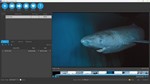 DIKDIK Video Converter STEAM KEY REGION GLOBAL ROW +  - изображение № 2