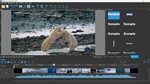 DIKDIK Video Converter STEAM KEY REGION GLOBAL ROW +  - изображение № 3