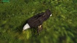 Eagle Hunting Journey STEAM KEY REGION FREE GLOBAL ROW - изображение № 4