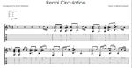 Renai Circulation - фингерстайл ноты+табы