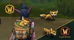 World of Warcraft®: комплект Ревена battle.net